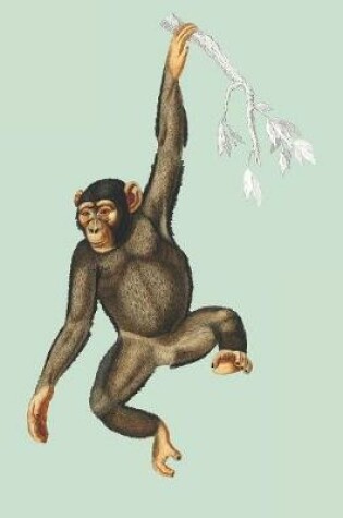 Cover of Chimpanzee Hanging on Tree Branch - Blank Lined Notebook