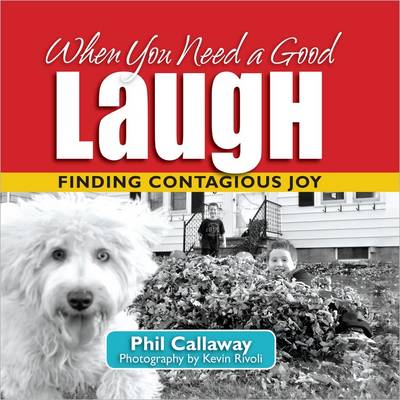 Book cover for When You Need a Good Laugh