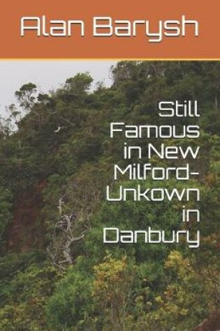 Cover of Still Famous in New Milford-Unkown in Danbury