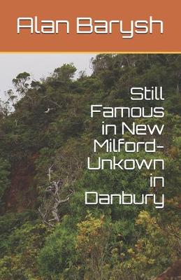 Book cover for Still Famous in New Milford-Unkown in Danbury