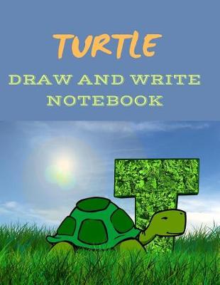Cover of Turtle