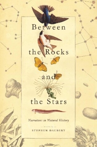 Cover of Between the Rocks and the Stars