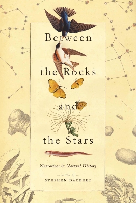 Cover of Between the Rocks and the Stars