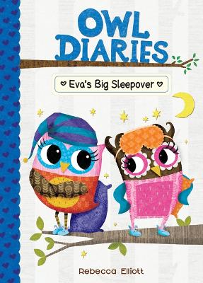 Book cover for Eva's Big Sleepover: #9