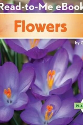 Cover of Flowers