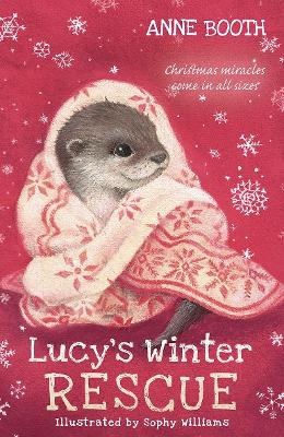 Book cover for Lucy's Winter Rescue