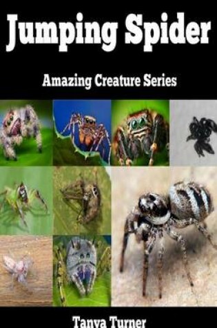 Cover of Jumping Spider
