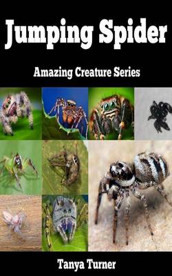 Book cover for Jumping Spider