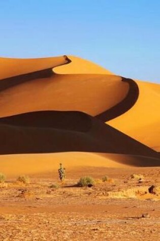 Cover of Desert Sand Dunes in Algeria Journal