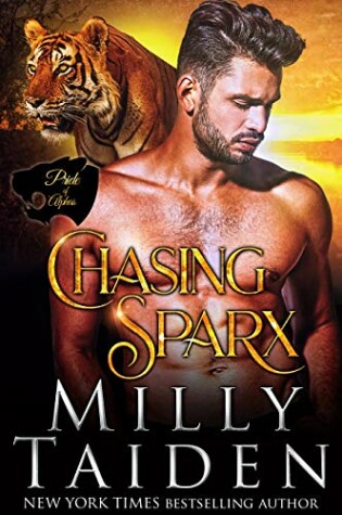 Cover of Chasing Sparx