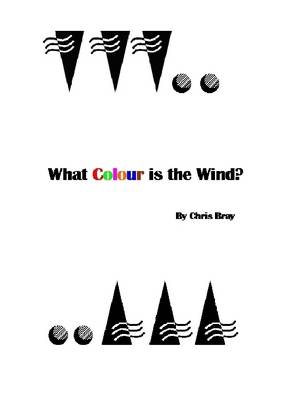 Book cover for What Colour Is the Wind?