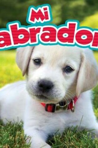 Cover of Mi Labrador