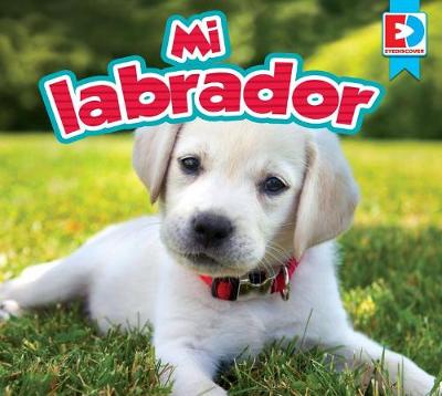 Book cover for Mi Labrador