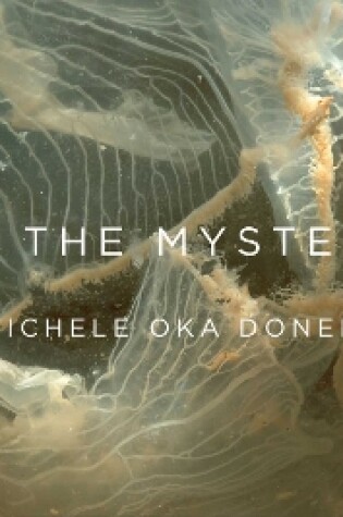 Cover of Into The Mysterium