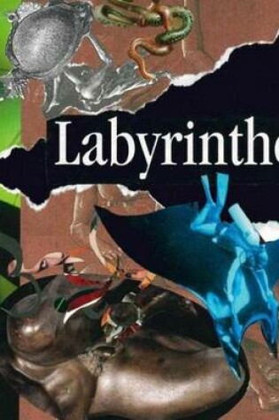 Cover of Labyrinthe