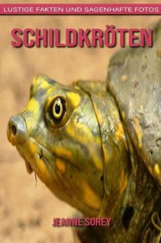 Cover of Schildkröten