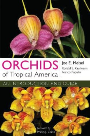 Cover of Orchids of Tropical America