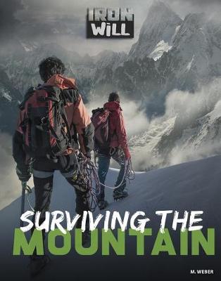 Cover of Surviving the Mountain