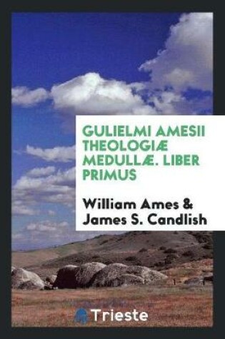 Cover of Gulielmi Amesii Theologiae Medullae. Liber Primus