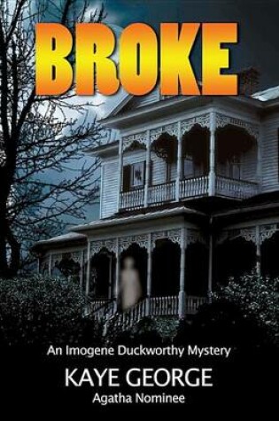 Cover of Broke