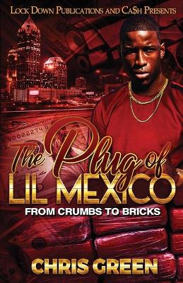 Book cover for The Plug of Lil Mexico