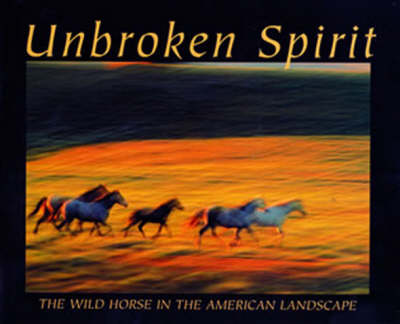 Book cover for Unbroken Spirit