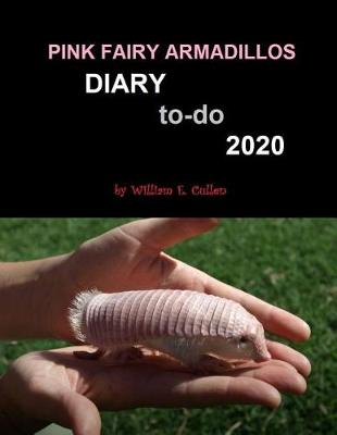 Book cover for Pink Fairy Armadillos