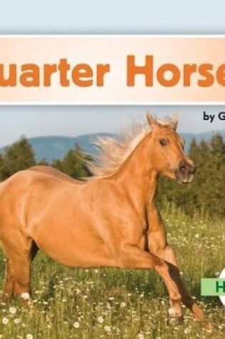 Cover of Quarter Horses