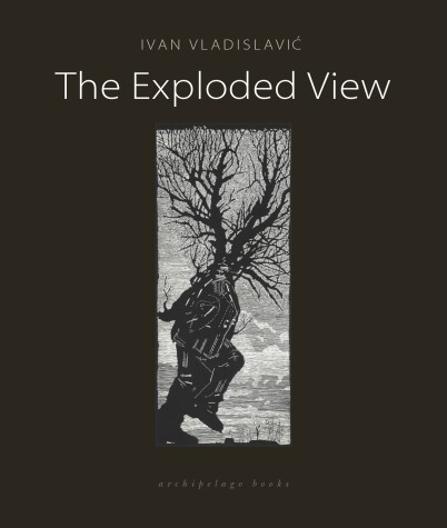 Book cover for The Exploded View