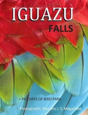 Book cover for Iguazu Falls