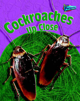 Book cover for Cockroaches Up-Close