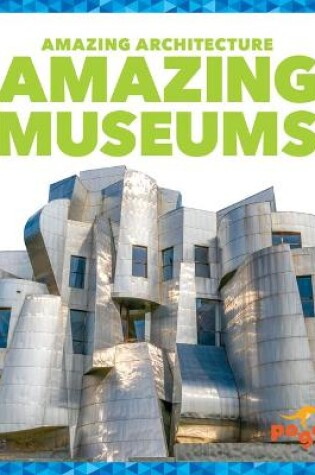 Cover of Amazing Museums