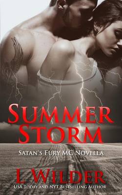 Book cover for Summer Storm