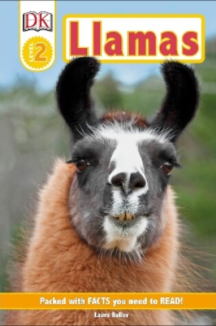 Cover of Llamas