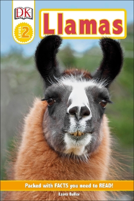 Cover of Llamas