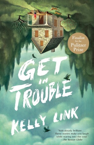 Book cover for Get in Trouble