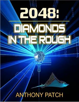 Book cover for 2048: Diamonds In the Rough