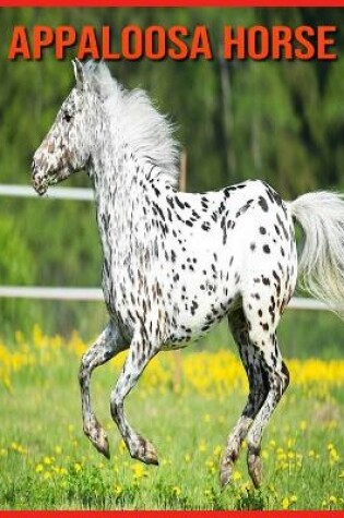 Cover of Appaloosa Horse