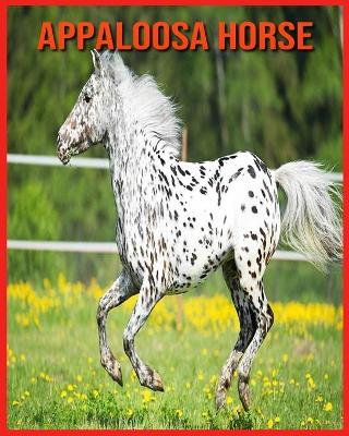 Book cover for Appaloosa Horse