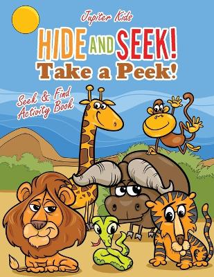Book cover for Hide and Seek! Take a Peek! Seek & Find Activity Book