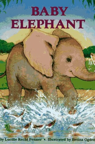 Cover of Baby Elephant