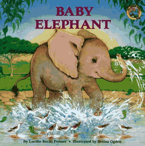 Book cover for Baby Elephant