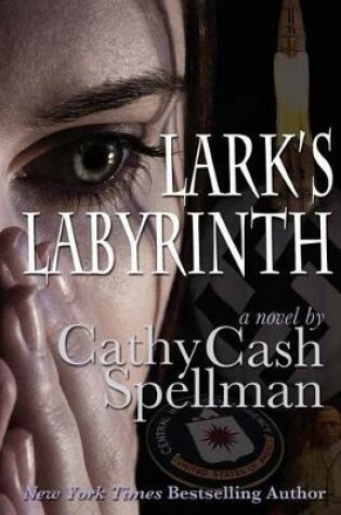 Cover of Lark's Labyrinth