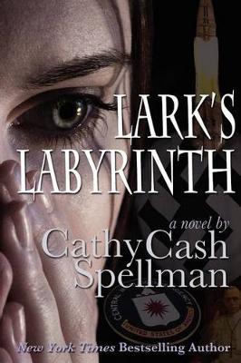 Book cover for Lark's Labyrinth