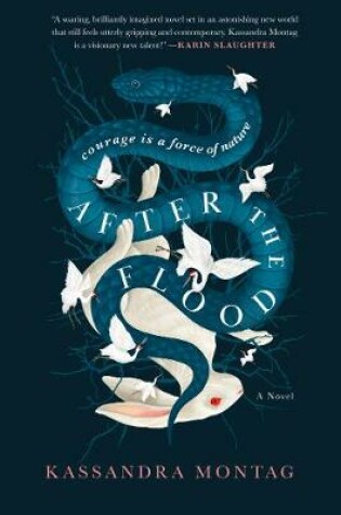 Cover of After the Flood