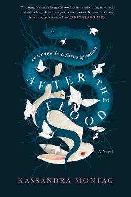 Book cover for After the Flood