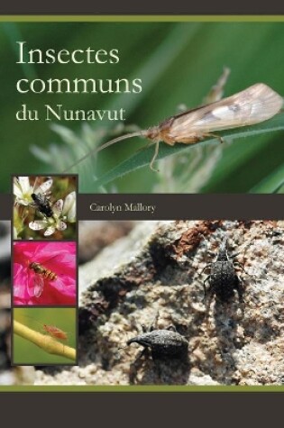 Cover of Insectes communs du Nunavut