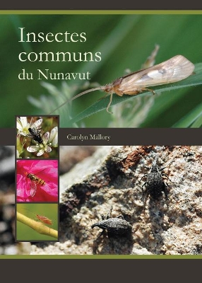 Book cover for Insectes communs du Nunavut