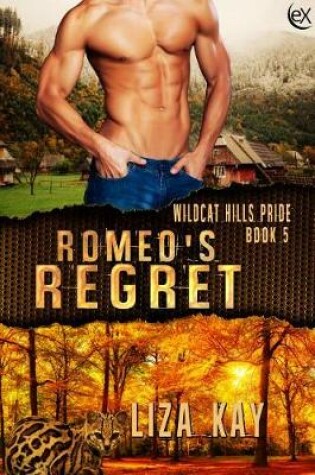 Cover of Romeo's Regret