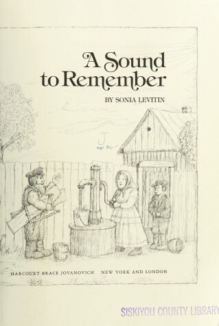 Book cover for A Sound to Remember